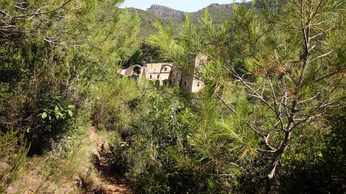 Valle de la Murta, repletro de vegetación y con las ruinas del monasterio al fondo