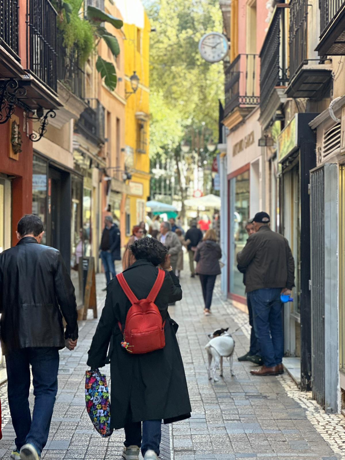Calle Alcaicería de la Loza, en la Alfalfa.