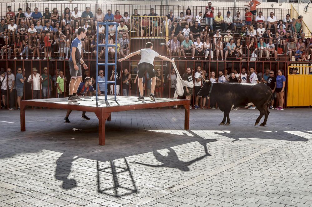 Encierro de toros en Castalla