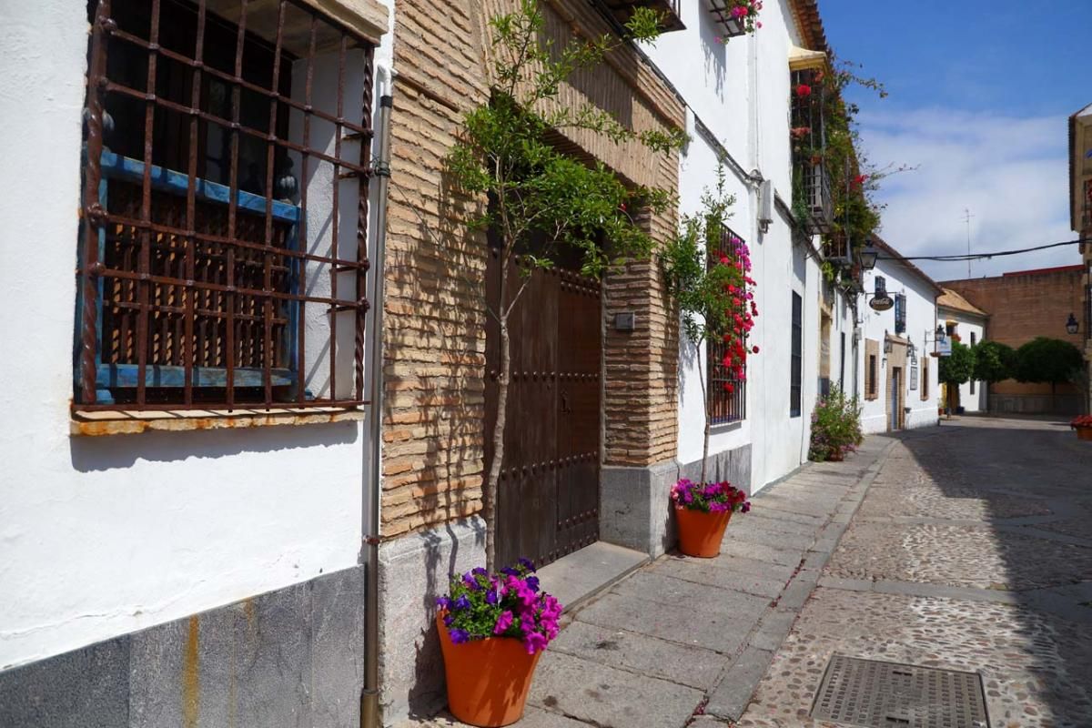 Paseo por el Alcázar Viejo durante la crisis del coronavirus