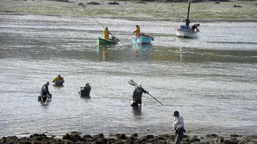 Mariscadores en la ría de O Burgo, antes de su cierre a la extracción.