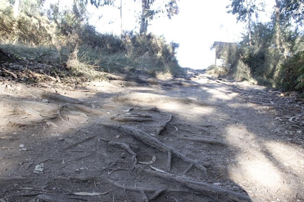 Arco Iris denuncia la pésima conservación de Costa da Vela - Asegura que es una bomba incendiaria y destaca la falta de guardas forestales y señalización adecuada