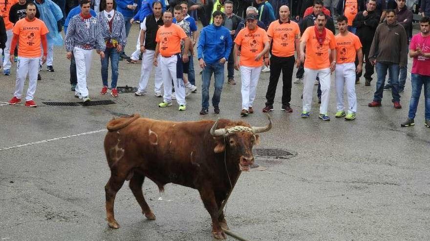 Una de las imágenes que dejó la carrera en Cuenca del castaño &quot;Pintado&quot;.