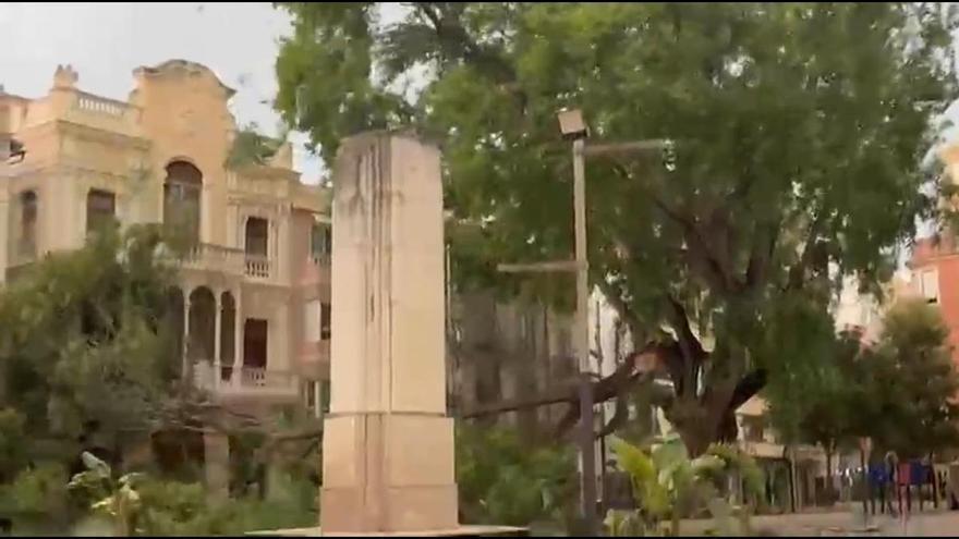 El temporal de viento derriba grandes ramas y causa desperfectos en Alzira