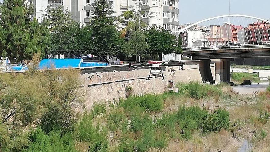 Intensifican el control de plagas con fumigaciones con drones en Lorca