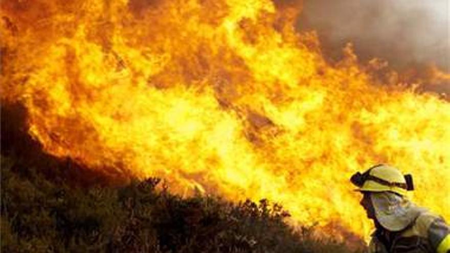 Más de 4.500 hectáreas de monte arden en otoño en Galicia