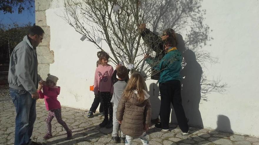 Galilea siembra el &#039;Arbre  dels Desitjos&#039;