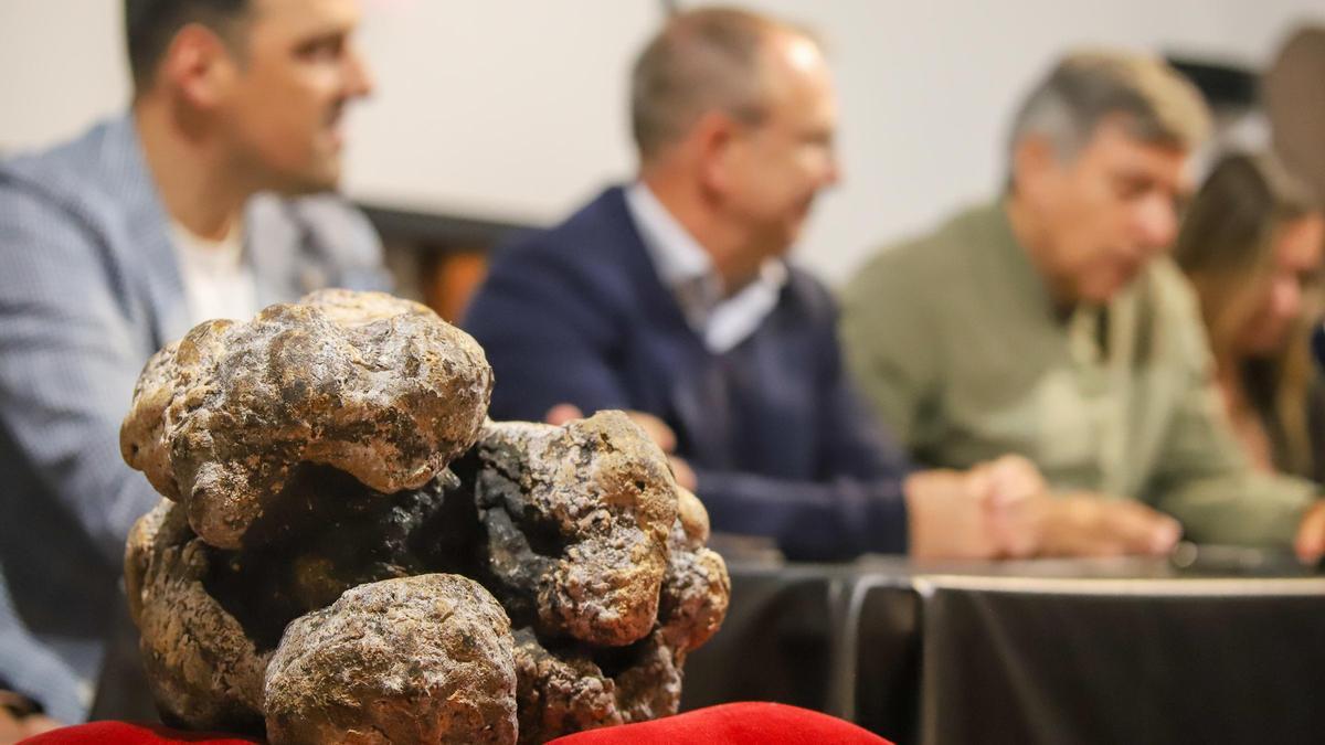 La pieza de ámbar gris encontrada en un cachalote será expuesta en La Palma