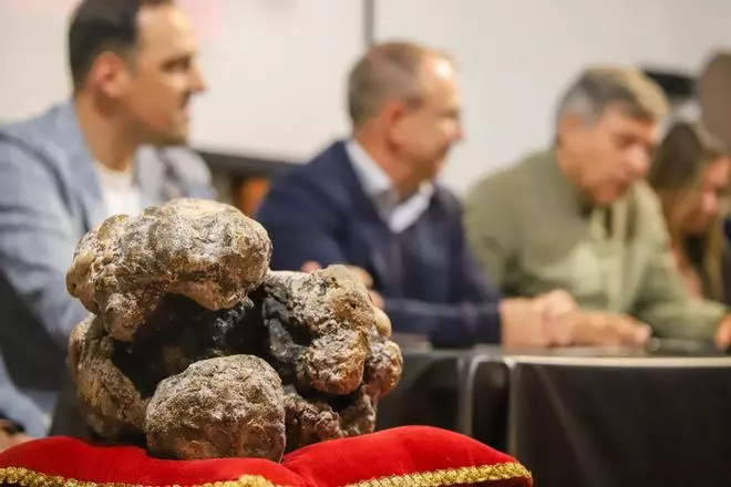 La pieza de ámbar gris encontrada en un cachalote será expuesta en La Palma