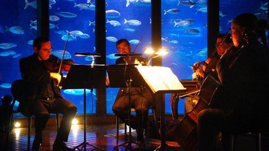 Concierto del Grupo Instrumental Siglo XX en el Aquarium, el año pasado en el marco del Resis Festival. | LA OPINIÓN