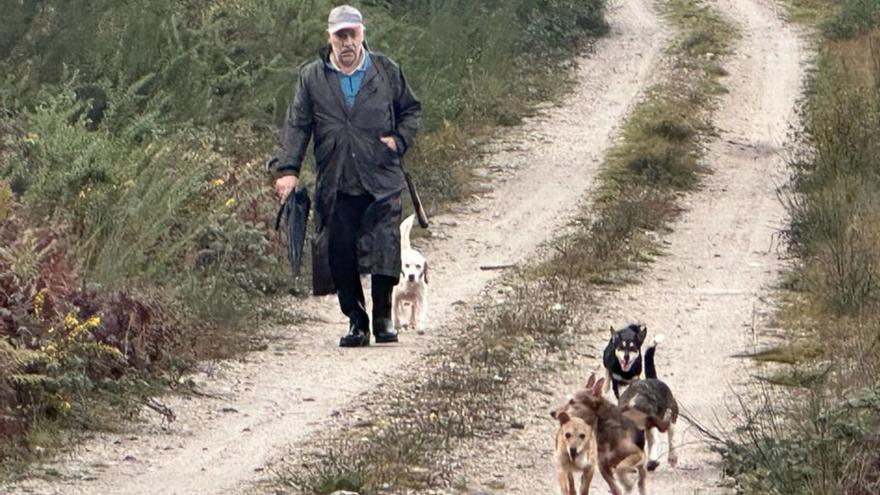 Un cazador y sus perros, en el Monte do Carrio.
