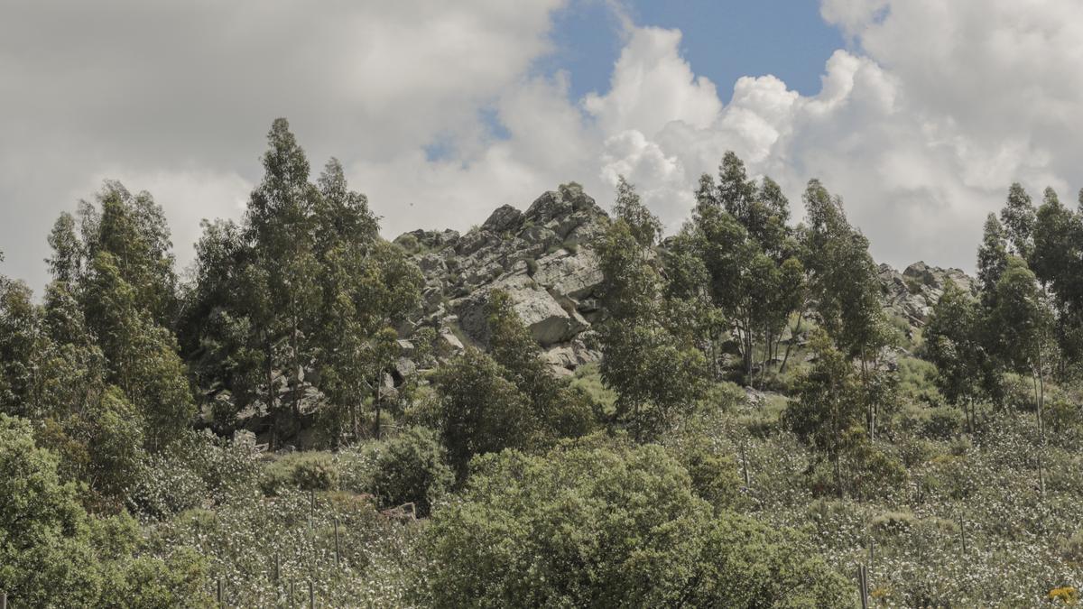 Uno de los parajes del cerro Arropé.