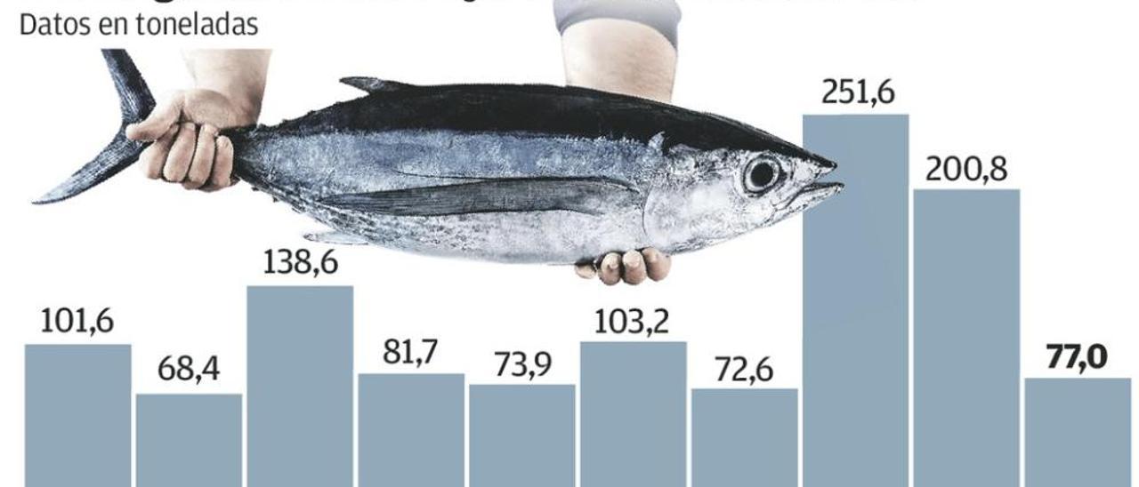 La flota del bonito confía en remontar tras una caída del 61% en junio