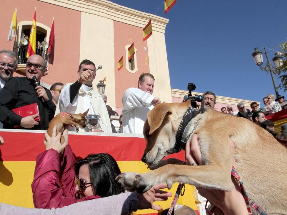 Los vecinos de Cartagena se han acercado junto a sus mascotas a recibir la bendición