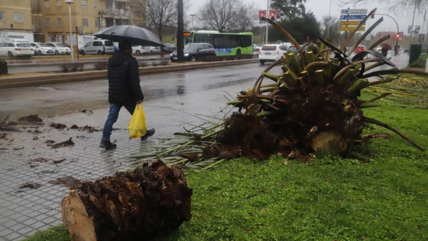 Activado el aviso amarillo por fuertes vientos el Miércoles Santo y por lluvias el Jueves Santo