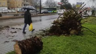 Activado el aviso amarillo por fuertes vientos el Miércoles Santo y por lluvias el Jueves Santo