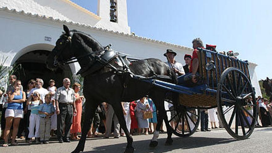 Caballos, ponys e incluso un burro tiraron de los carros.