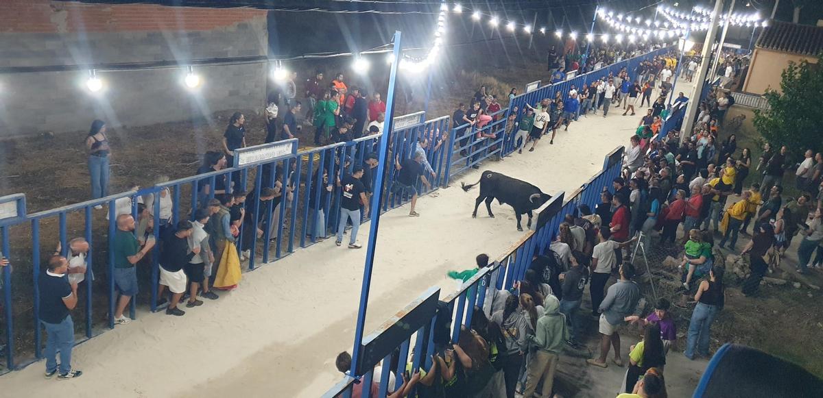 GALERÍA | Venialbo se viste de fiesta para celebrar a San Roque GALERÍA | Venialbo se viste de fiesta para celebrar a San Roque