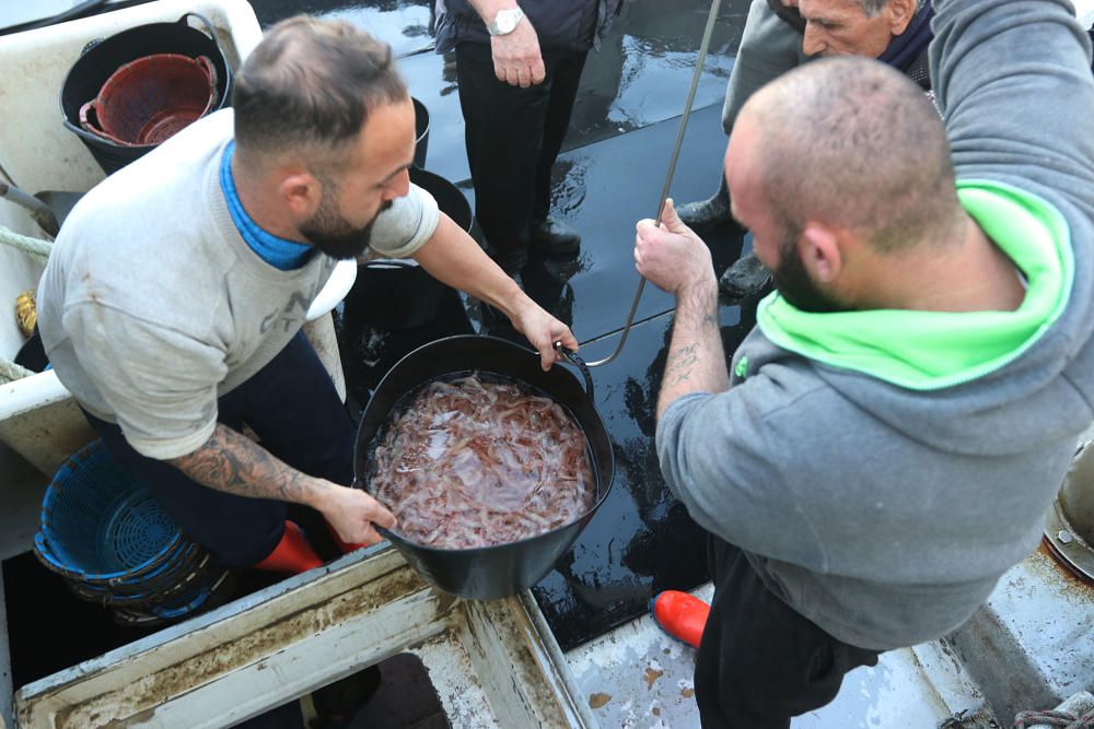 Tan solo cinco compradores y un barco se encargan de llevar el marisco y el pescado de arrastre cada día a la mesa de los malagueños donde la merluza y las gambas son las grandes protagonistas.