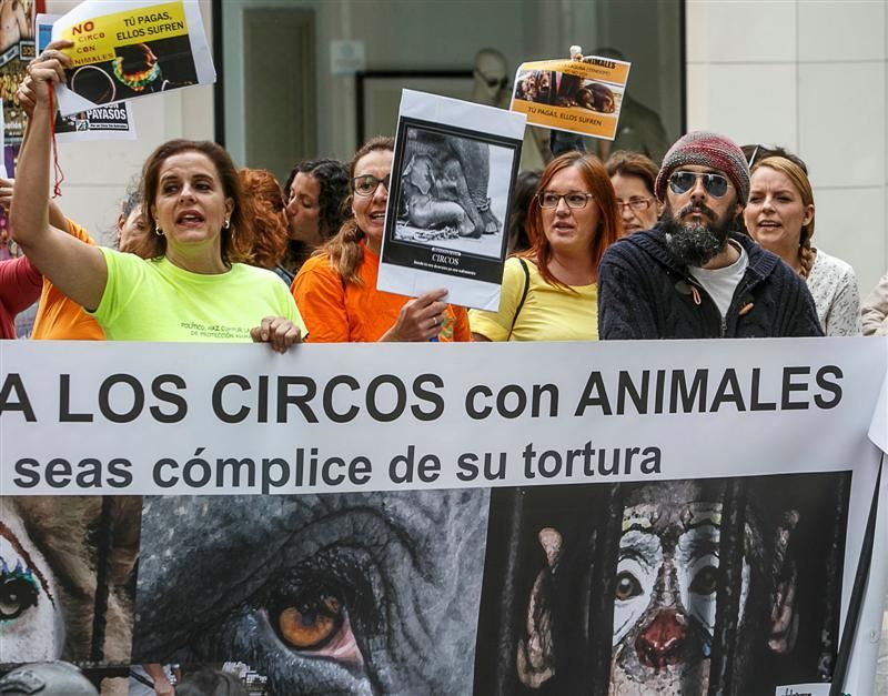 Protesta para prohibir el maltrato de animales