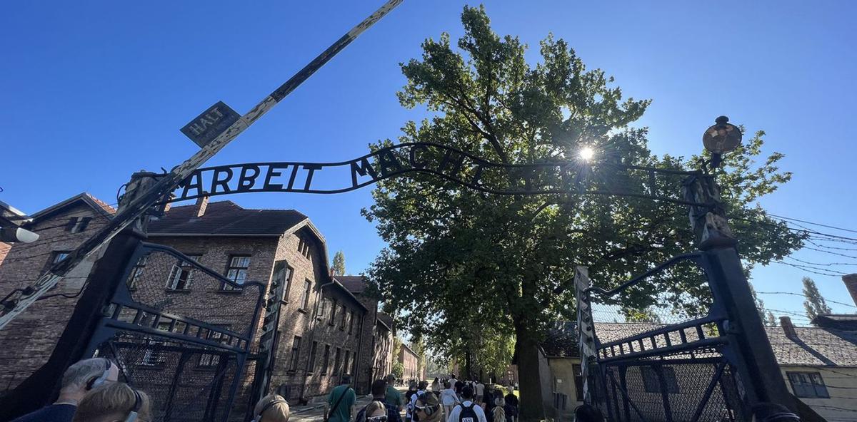 Auschwitz, entrada y muerte