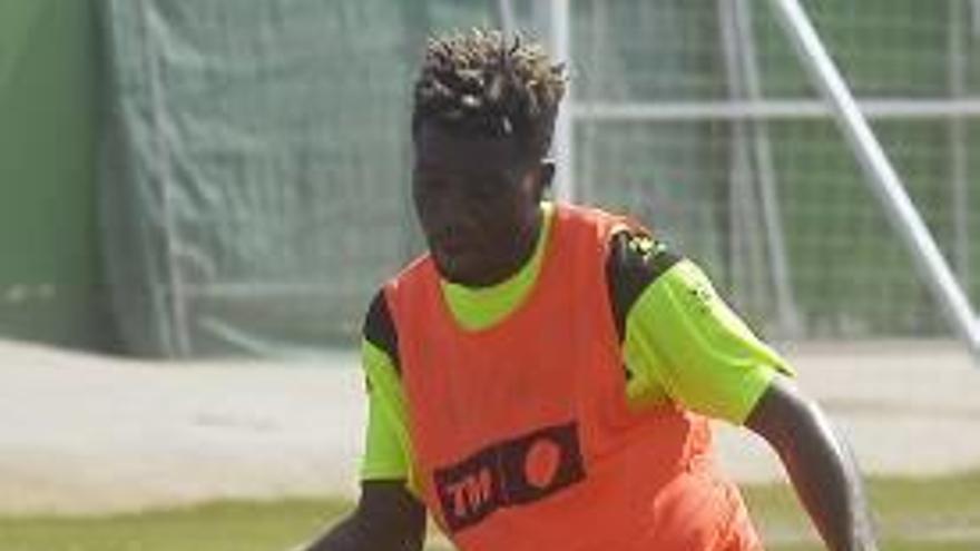 Samba, en un entrenamiento.