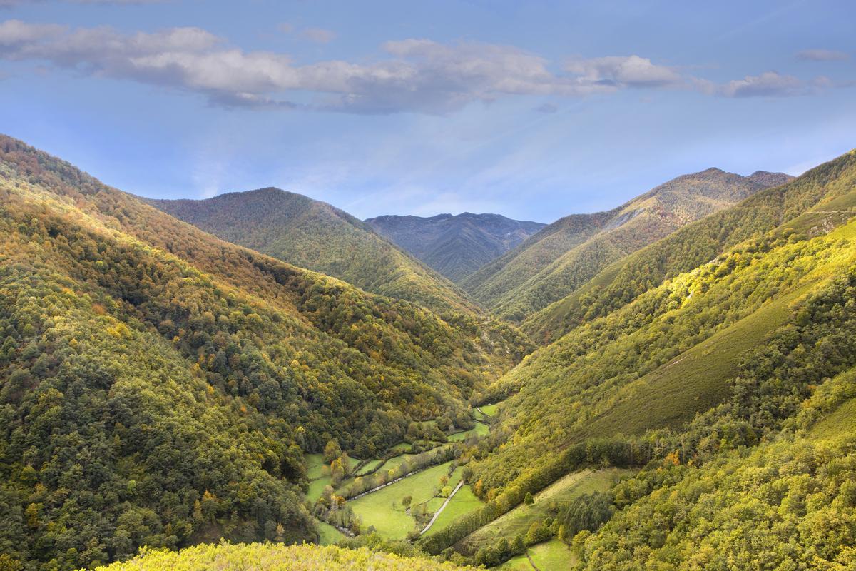 Bosque de Muniellos