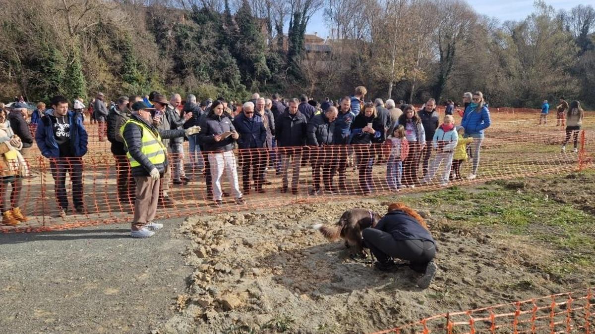 Una de las actividades de la VI Feria de la Trufa Negra de Graus, este fin de semana.