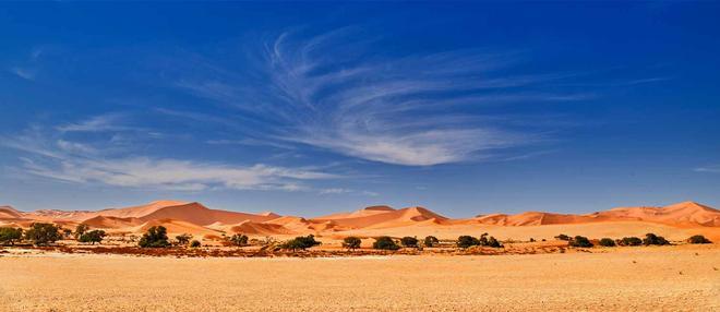 Desierto solo