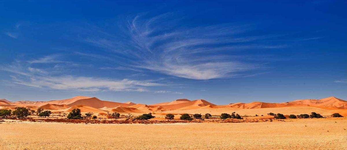 Desierto solo