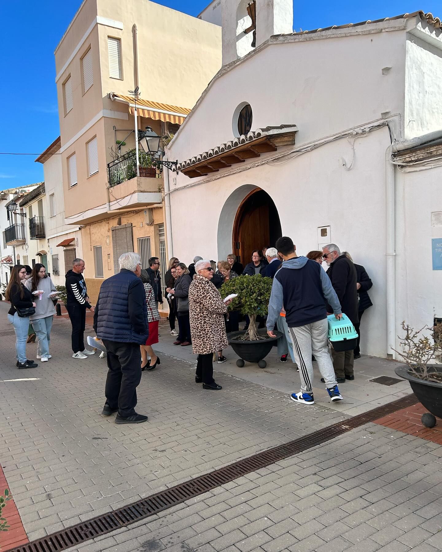 Daimús, Guardamar, Xeraco, l'Alqueria, Piles y Xeraco se vuelcan con Sant Antoni