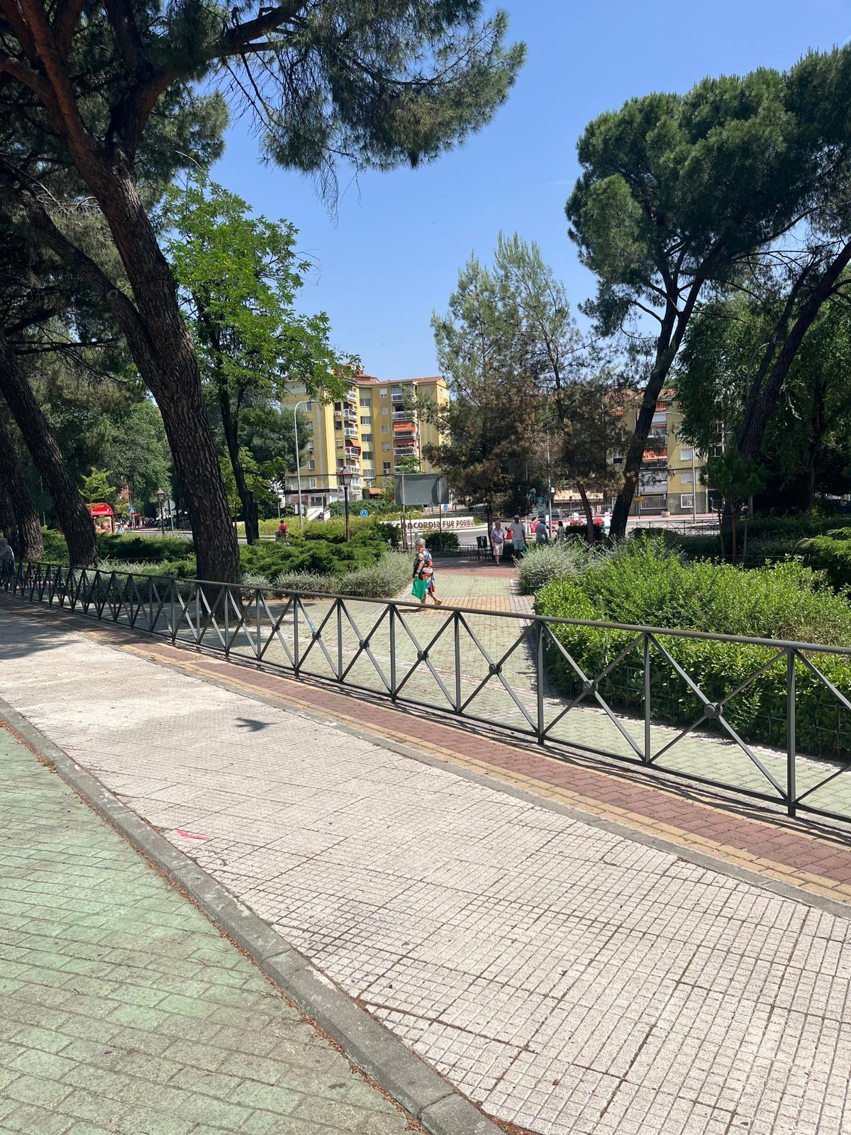 La zona de Torrelaguna, del distrito III, en muy buenas condiciones. Los servicios de limpieza son muy eficaces. La zona de Torrelaguna, del distrito III, en muy buenas condiciones. Los servicios de limpieza son muy eficaces.