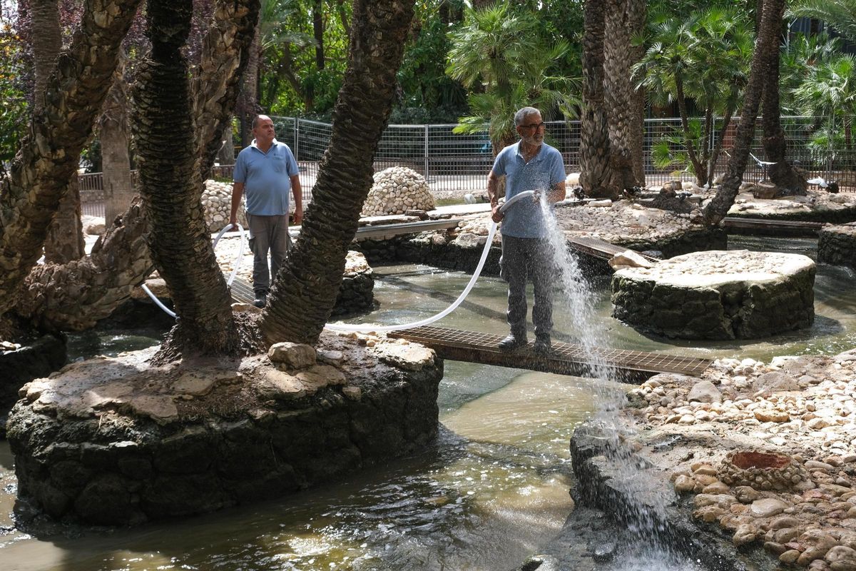 Trabajadores de Parques y Jardines de Elche