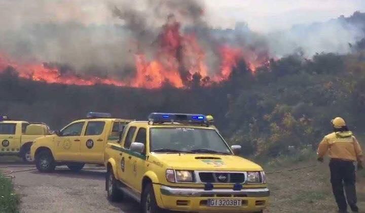 Incendi forestal a Llançà