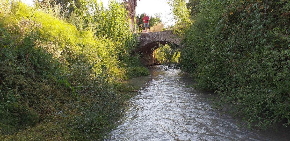 Uno de los tramos del río Cabra incluido en las obras previstas de restauración e integración urbana y paisajística.