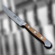 Cuchillo de carne Solingen