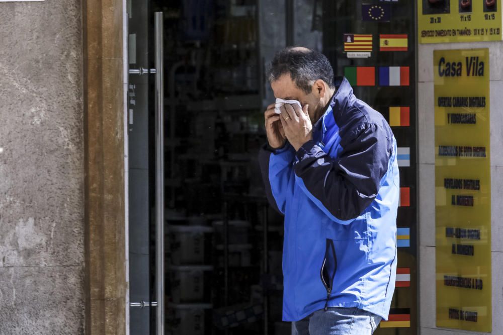 Patinando entre la cera y el polen en Palma