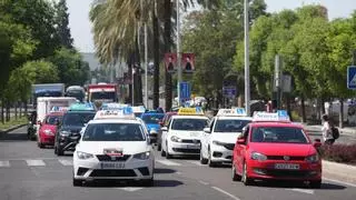 Las autoescuelas sacan 200 vehículos a las calles de Córdoba para exigir más examinadores