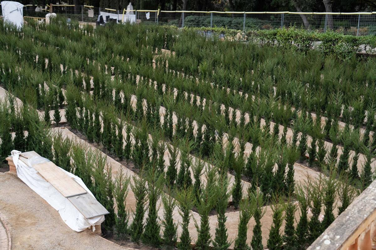 Visita exclusiva al Laberint d’Horta, cerrado durante un año por obras de restauración. Ya se están realizando nuevas plantaciones para recuperar sus jardines históricos. Barcelona, 4 de diciembre de 2025.