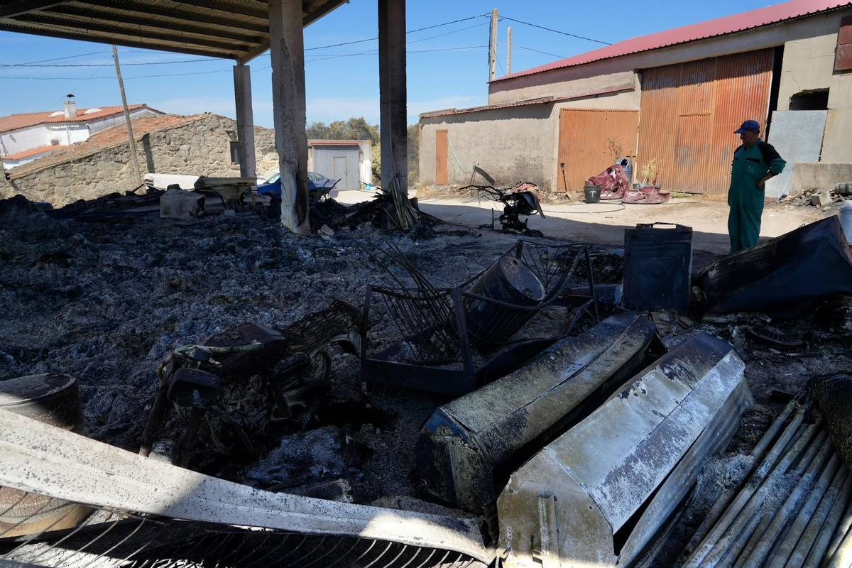 GALERÍA | El paso del fuego por Mámoles arrasa la explotación de Alfredo Fernándes