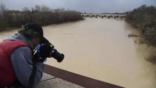 La borrasca Karlotta deja en Córdoba más de 77 litros y rachas de viento de hasta 61 km/h