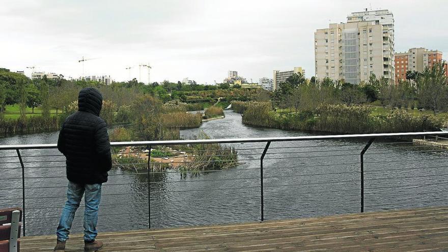 El parque se construyó en la Playa de San Juan en 2015 y es el único de España inundable para hacer frente a las lluvias torrenciales. | RAFA ARJONES