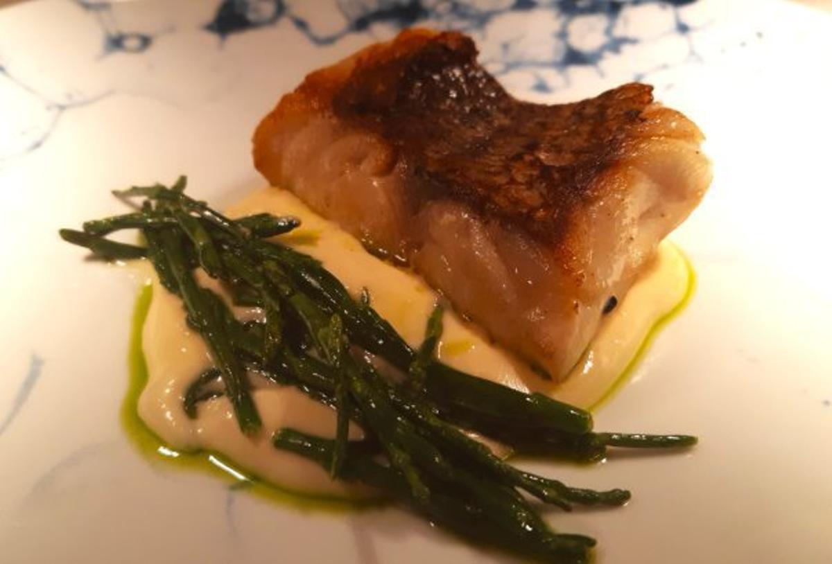 Zahnbrasse mit Salicornia.   | FOTO: ZENDER