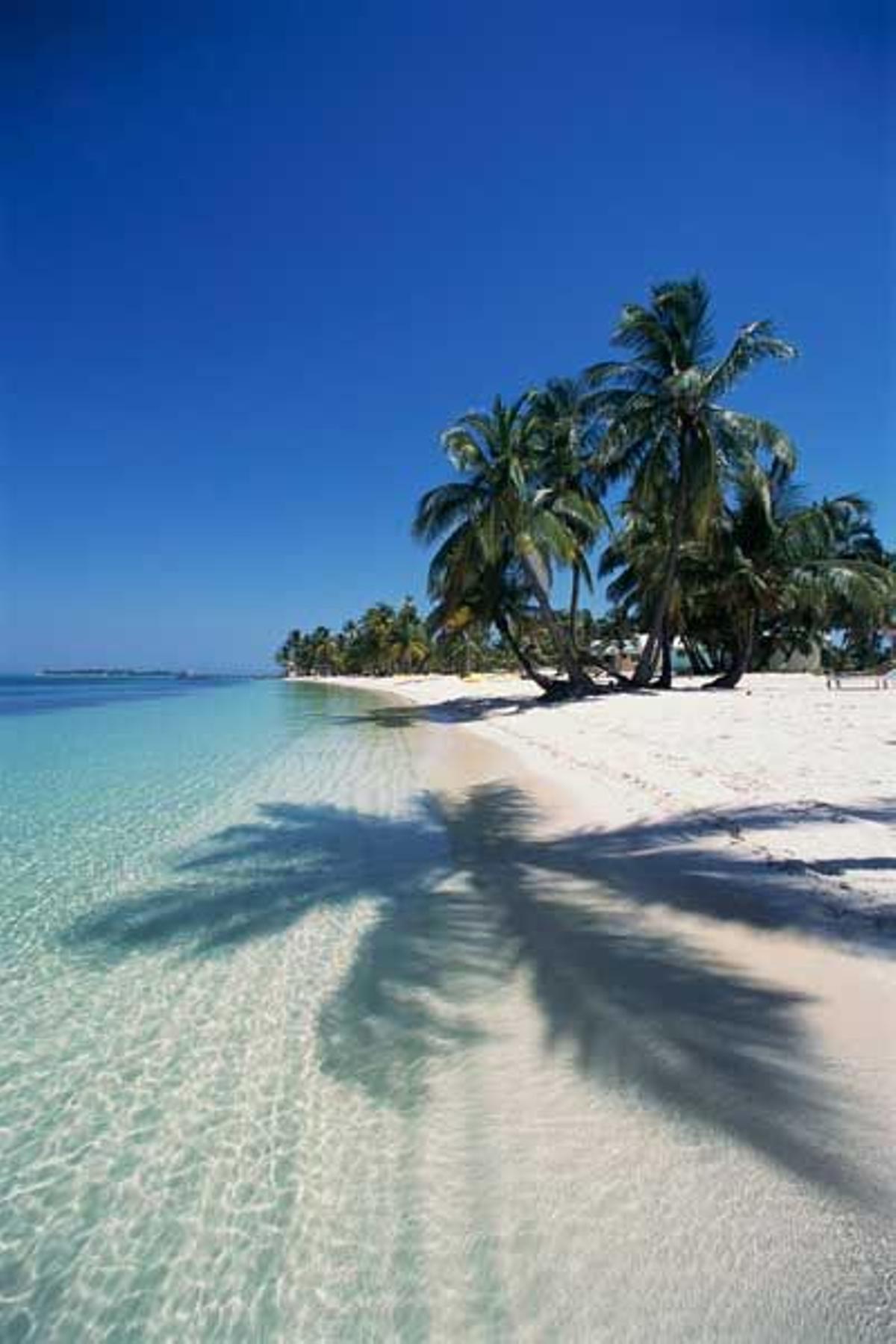 Playa con palmeras en Belize.