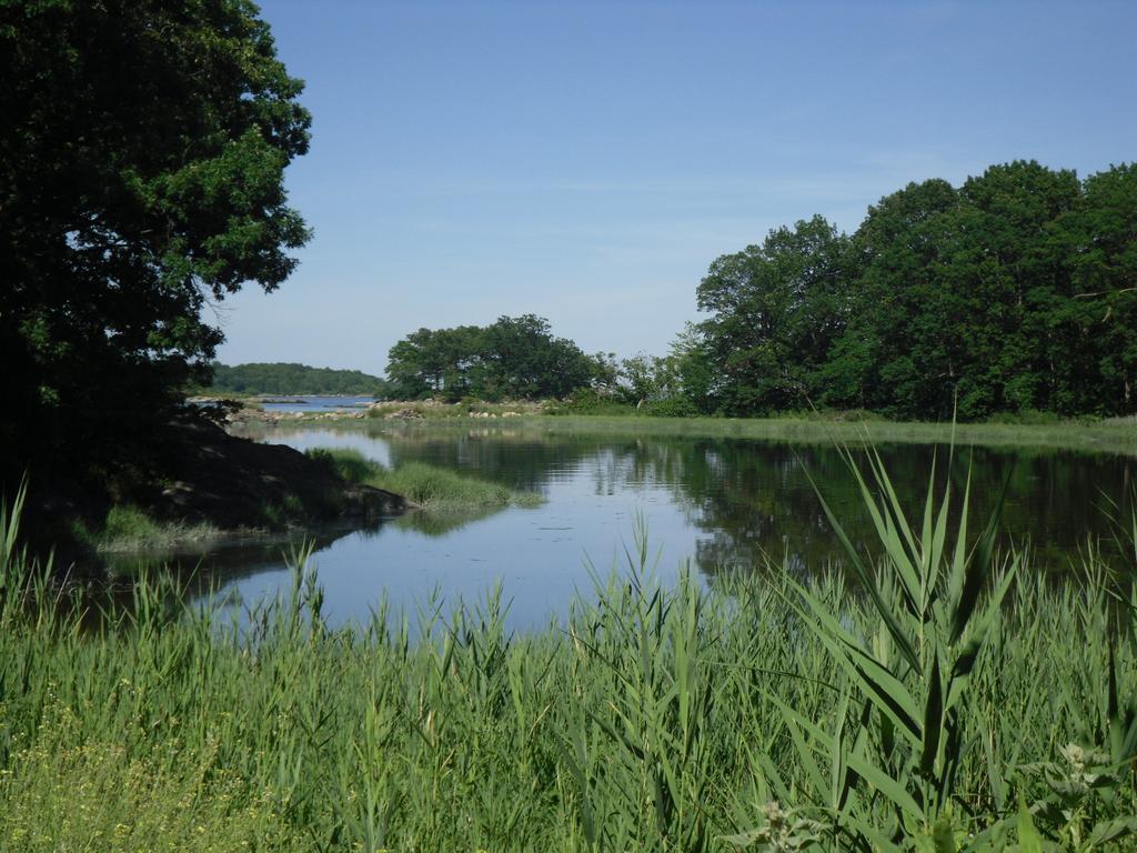 Pasear por Pelham Bay Park te demostrará la inmensidad de este parque