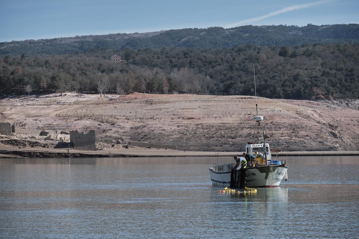 Empieza la retirada de peces del pantano de Sau