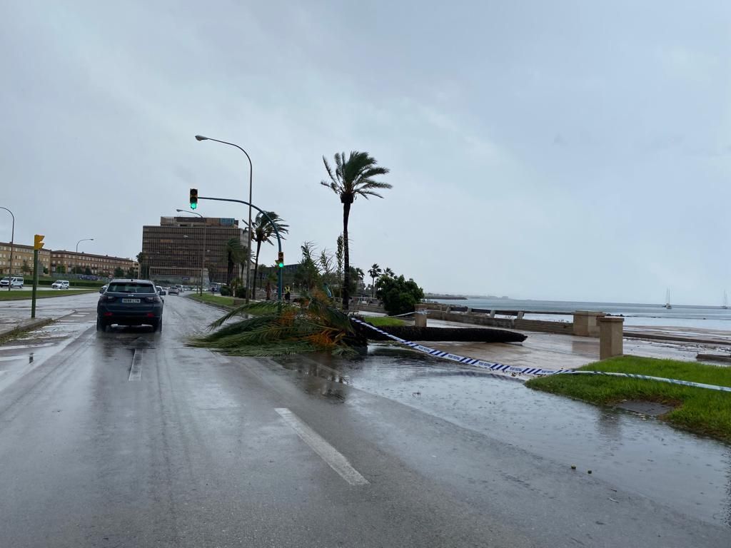 Diese Schäden hat das Unwetter auf Mallorca hinterlassen