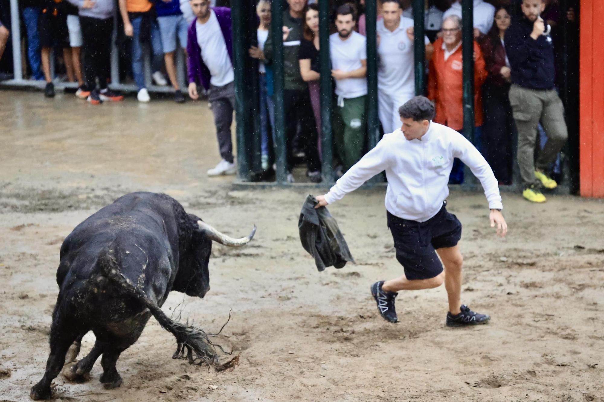 Galería de fotos de la penúltima tarde de toros de las fiestas del Roser en Almassora