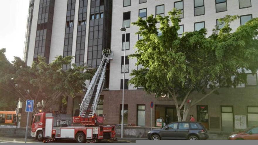 Los trabajos necesitaron de la presencia de la Policía Local y Bomberos de Tenerife.