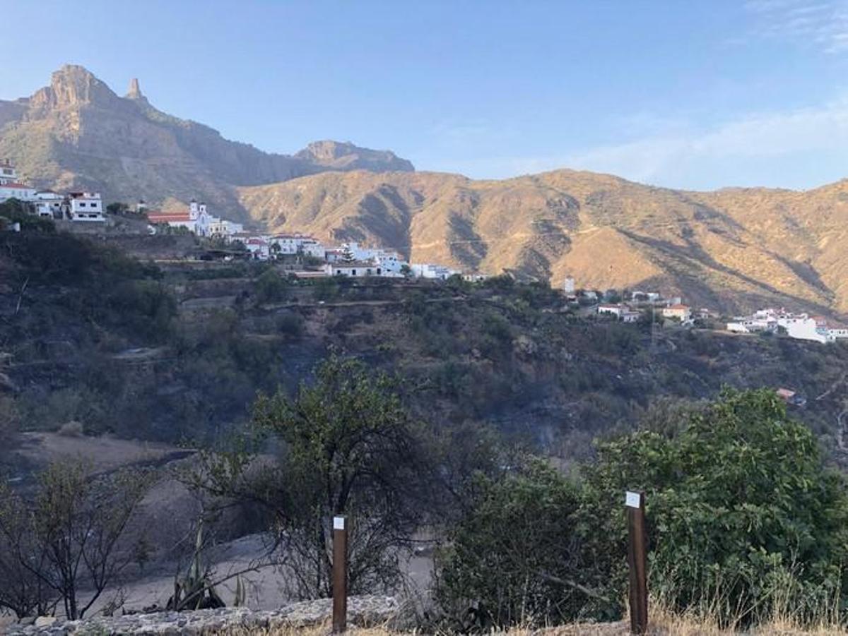 El incendio de Gran Canaria, a lunes 19 de agosto